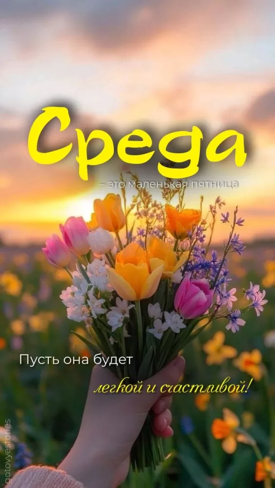 Картинки Доброе утро среды (60 открыток). Красивые картинки Доброе утро среды