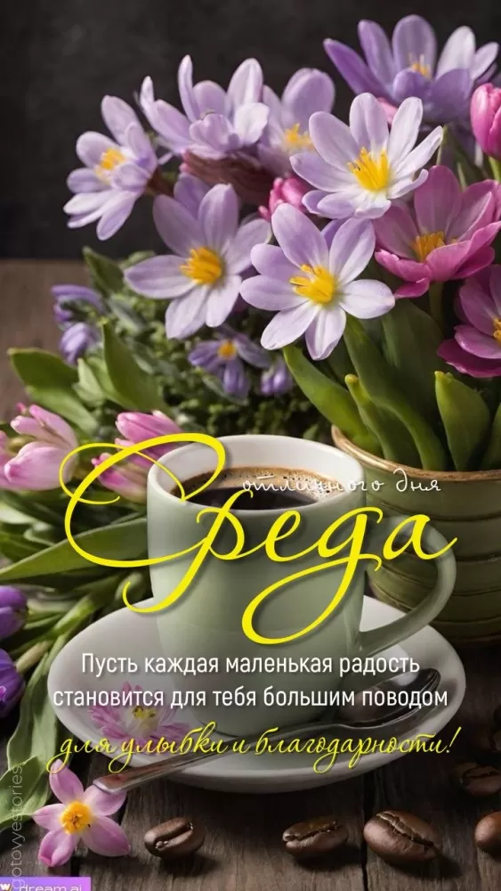 Картинки Доброе утро среды (60 открыток). Красивые картинки Доброе утро среды