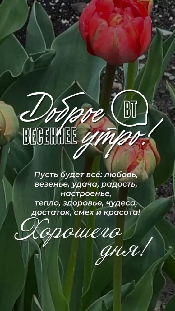 Картинки Доброе утро вторника. Красивые картинки с добрым утром вторника