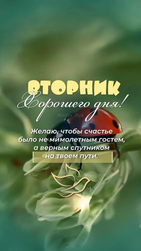 Картинки Доброе утро вторника. Красивые картинки с добрым утром вторника