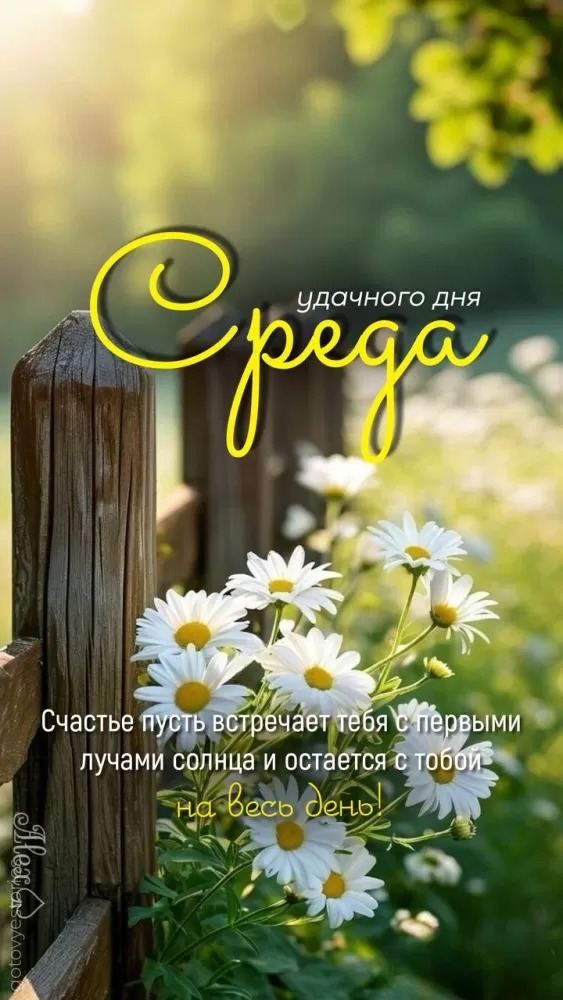 Картинки Доброе утро среды (60 открыток). Красивые картинки Доброе утро среды