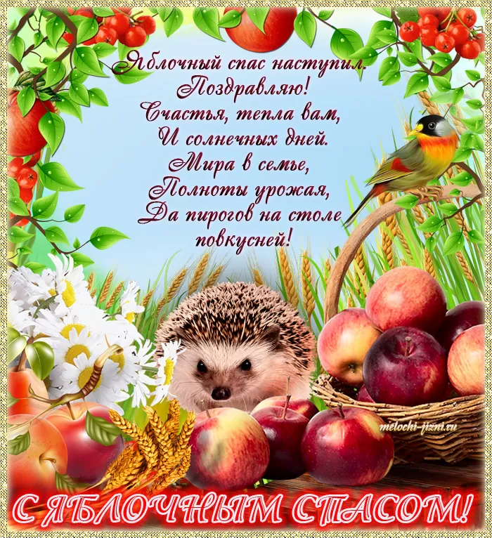 Яблочный Спас - картинки и открытки с поздравлениями. Картинки с поздравлением на Яблочный Спас