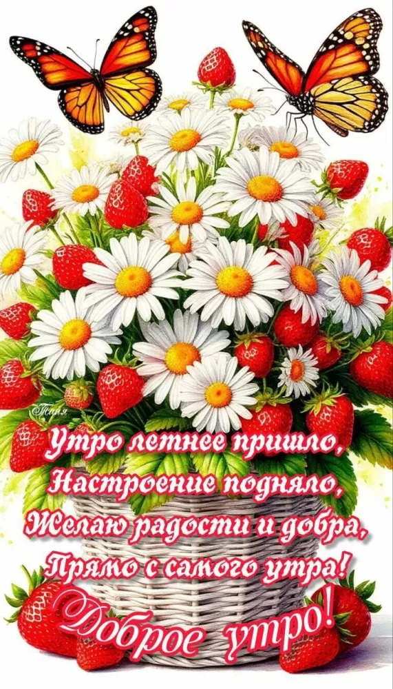 Красивые картинки с Добрым летним утром. Красивые картинки С добрым летним утром