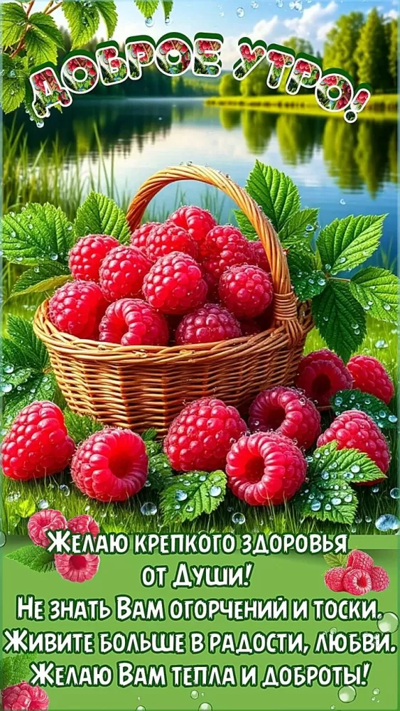 Красивые картинки с Добрым летним утром. Красивые картинки С добрым летним утром