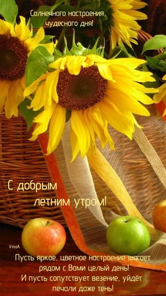 Красивые картинки с Добрым летним утром. Картинки Доброе летнее утро