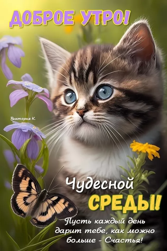 Красивые картинки Доброе утро среды. Доброе утро среды - картинки с котиками