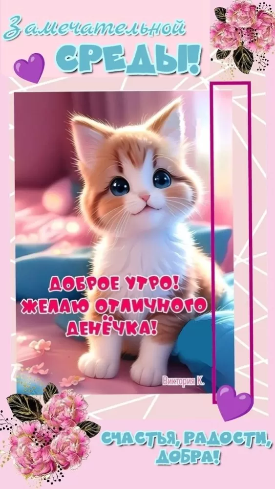Красивые картинки Доброе утро среды. Доброе утро среды - картинки с котиками
