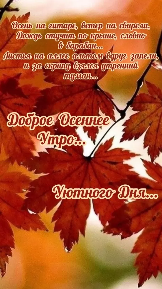 Картинки Доброго осеннего утра бесплатно