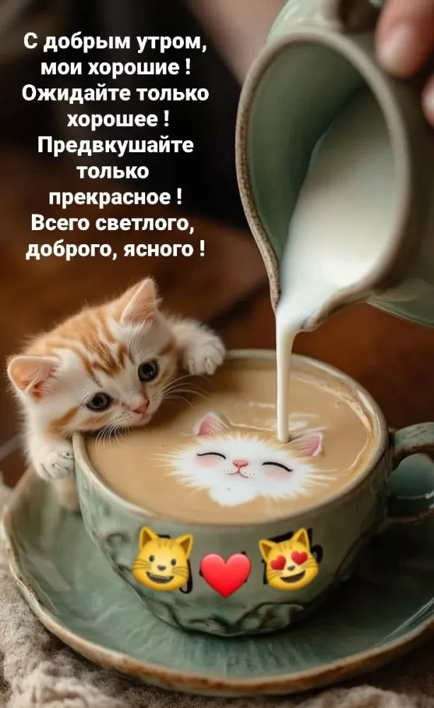 Позитивные картинки с пожеланиями Доброго утра. Позитивные картинки Доброе утро с цитатами