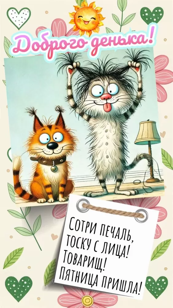 Позитивные картинки с пожеланиями Доброго утра. Картинки Доброе утро позитивные и прикольные