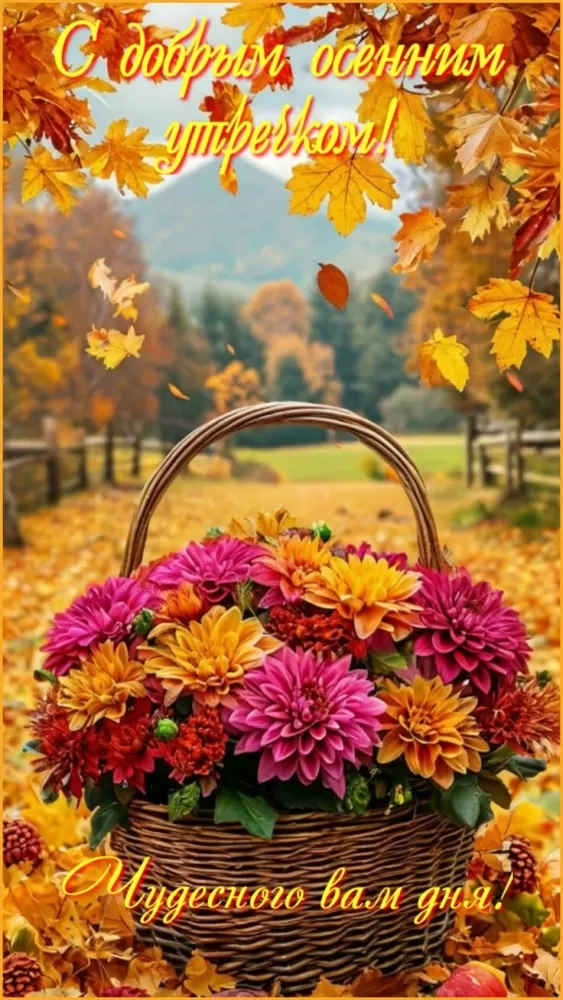 Картинки "Доброе утро сентября". Красивые картинки Доброе утро сентября