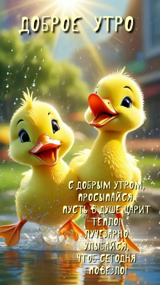 Позитивные картинки с пожеланиями Доброго утра. Картинки Доброе утро позитивные и прикольные