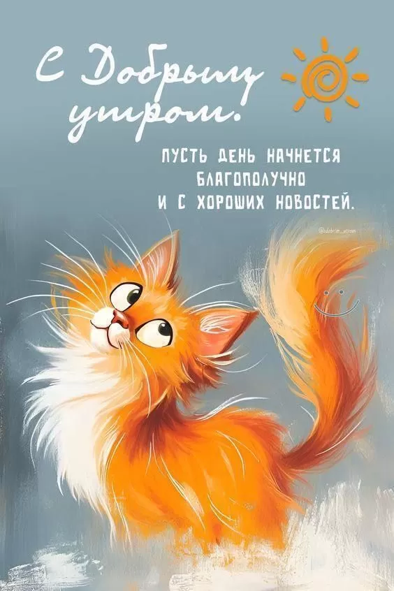 Позитивные картинки с пожеланиями Доброго утра. Картинки Доброе утро позитивные и прикольные