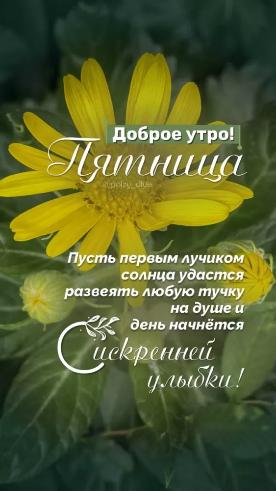 Картинки Доброе утро пятницы. Доброе утро пятницы - позитивные картинки с пожеланиями