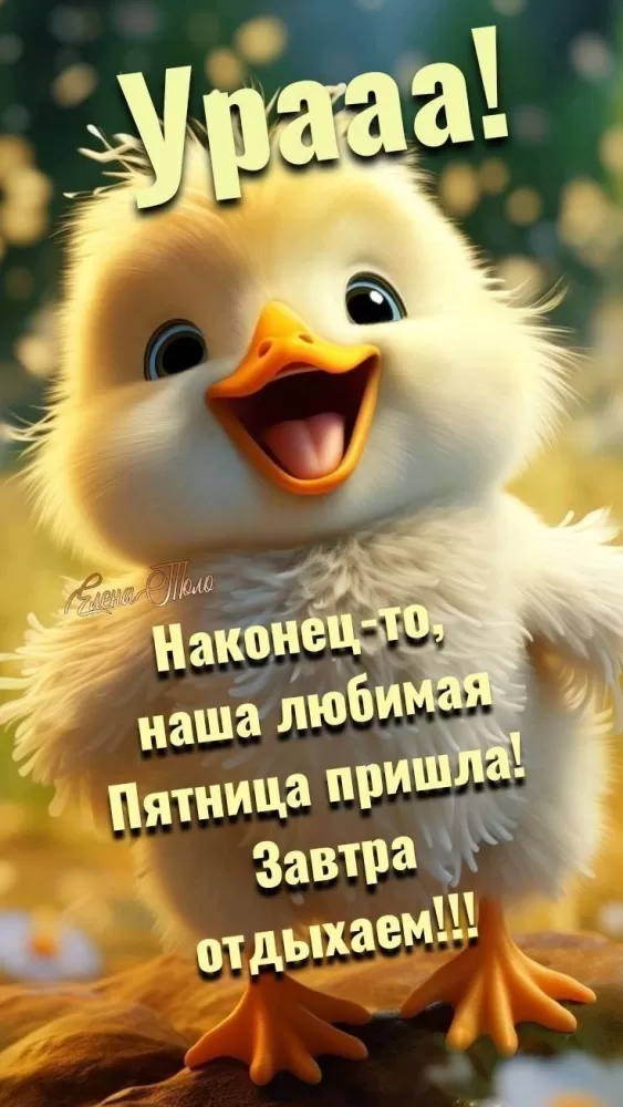 Картинки Доброе утро пятницы. Доброе утро пятницы - позитивные картинки с пожеланиями