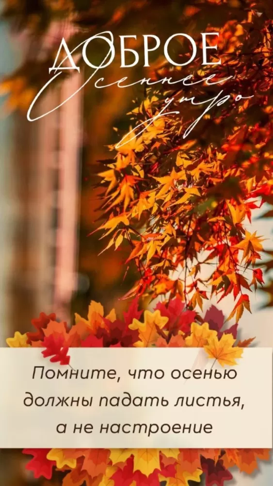 Картинки и открытки Доброе осеннее утро. Красивые картинки Доброе осеннее утро