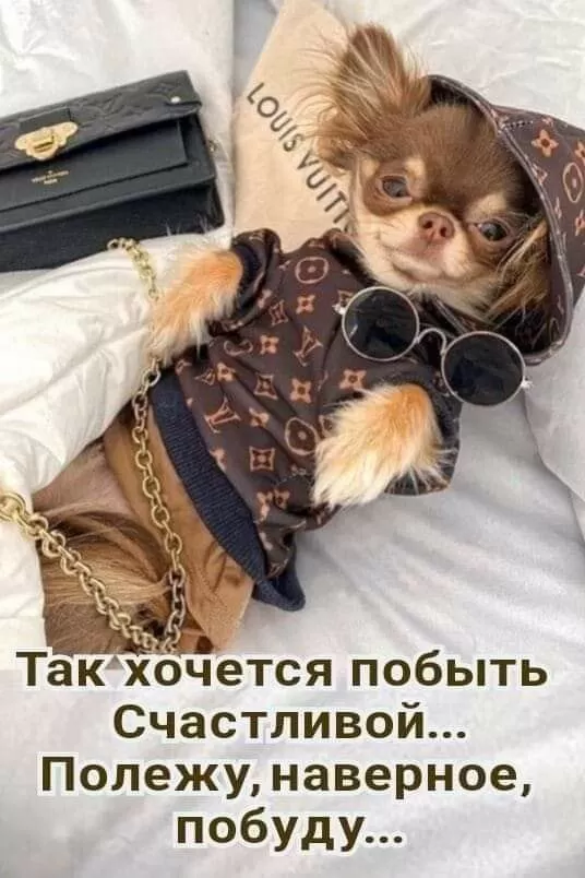 Картинки позитивные для настроения. Позитивные картинки для настроения