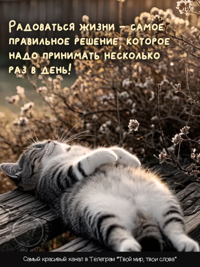 Картинки позитивные для настроения. Позитивные картинки для настроения