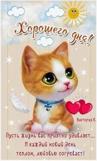 Картинки позитивные для настроения. Позитивные картинки с котами для настроения