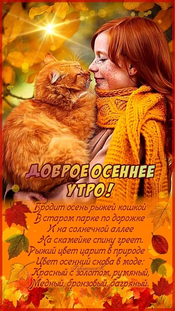 Картинки и открытки Доброе осеннее утро. Позитивные картинки Доброе осеннее утро