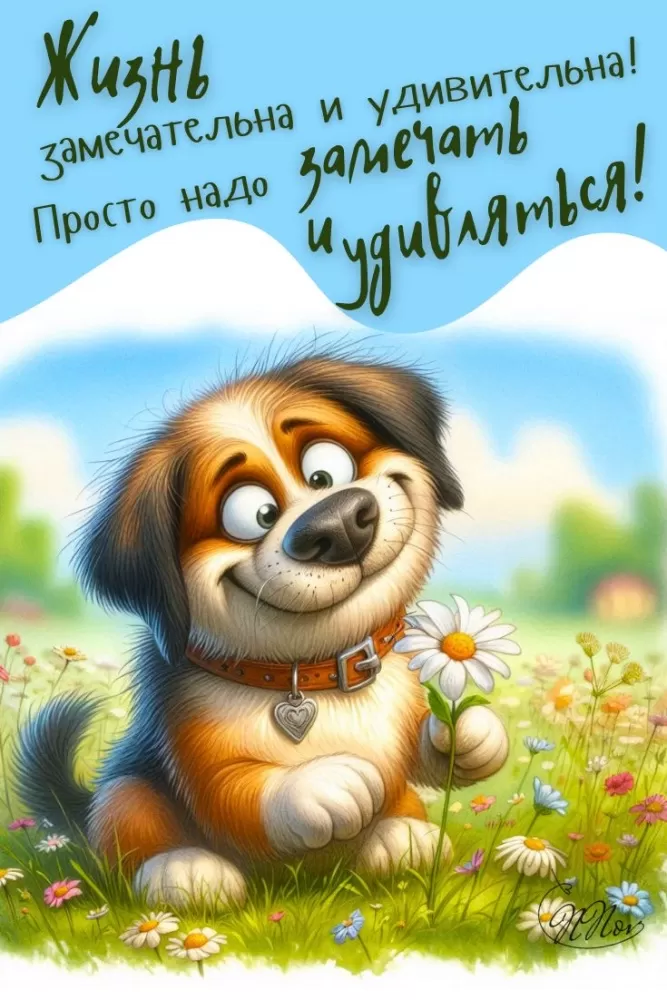 Картинки позитивные для настроения. Позитивные картинки для настроения