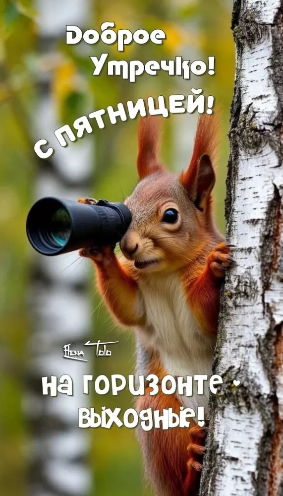 Картинки Доброе утро пятницы. Позитивные картинки Доброе утро пятницы