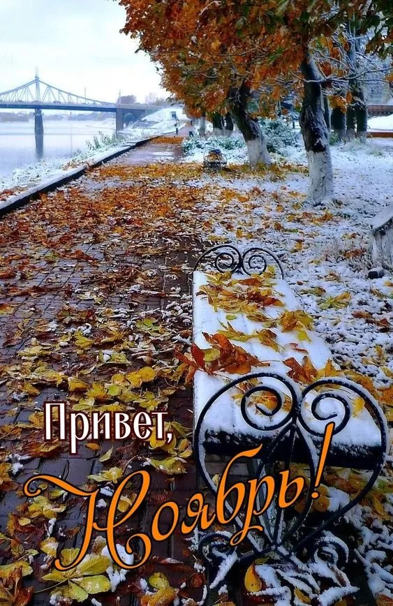 Картинки С первым днем ноября. Картинки с первым днем ноября