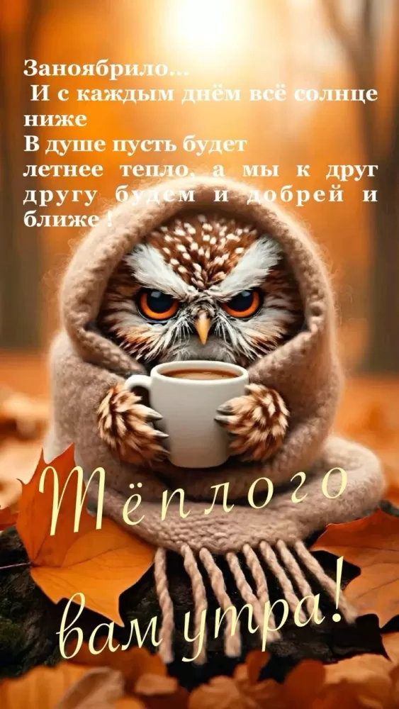 Картинки и открытки Доброе осеннее утро. Позитивные картинки Доброе осеннее утро