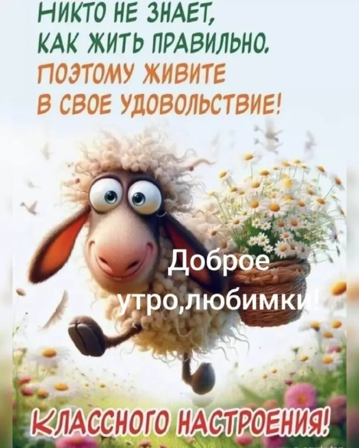 Картинки позитивные для настроения. Позитивные картинки для настроения