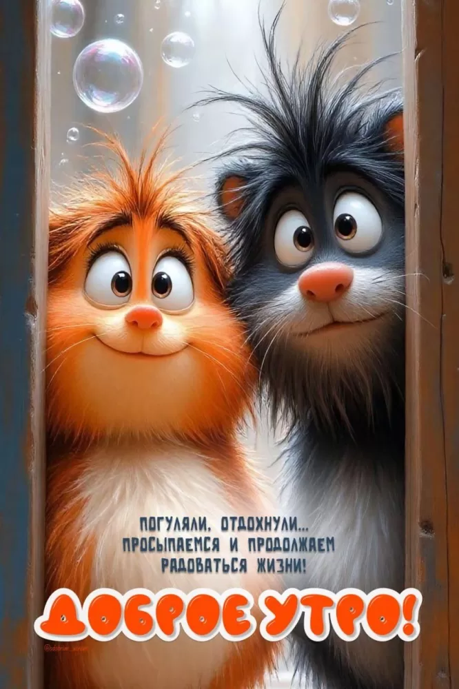 Картинки позитивные для настроения. Позитивные картинки с пожеланием доброго утра