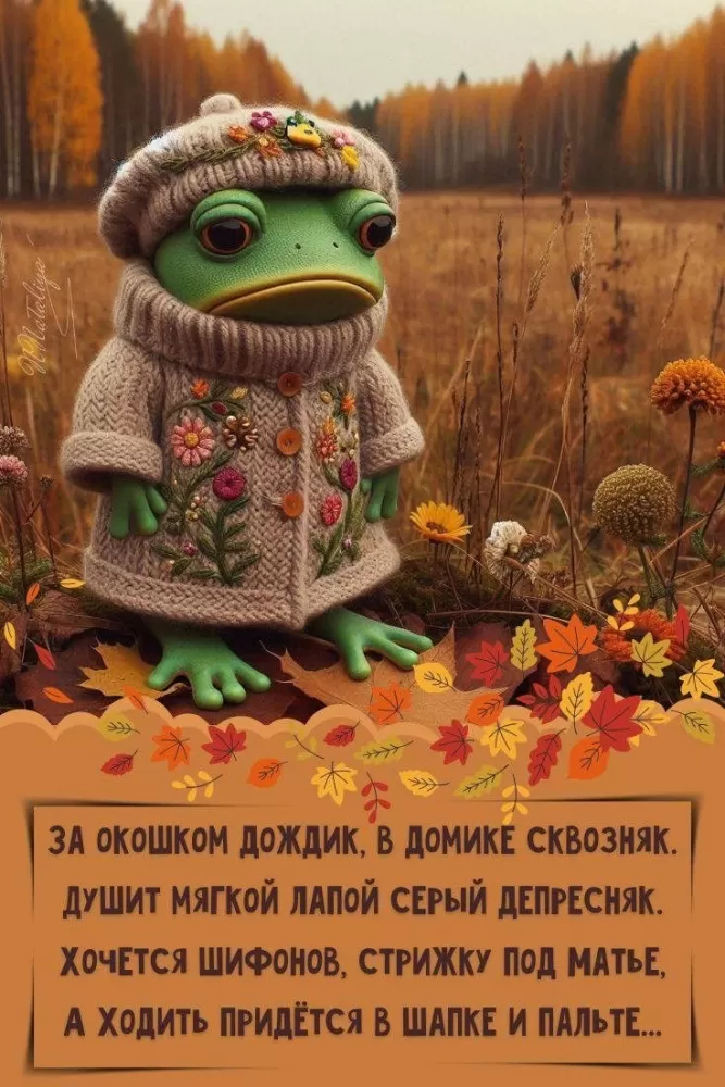 Картинки позитивные для настроения. Позитивные картинки для настроения