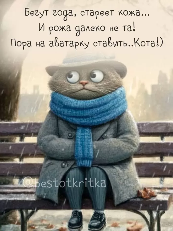 Картинки позитивные для настроения. Позитивные картинки с котами для настроения