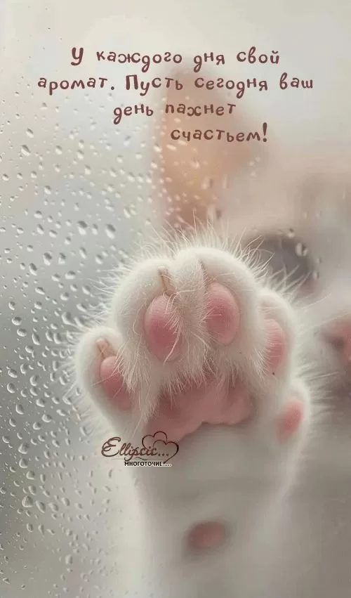 Картинки позитивные для настроения. Позитивные картинки для настроения