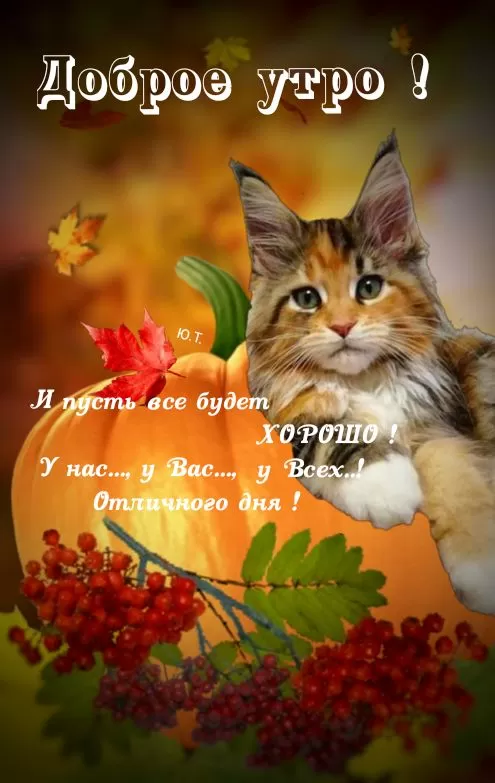 Картинки и открытки Доброе осеннее утро. Позитивные картинки Доброе осеннее утро