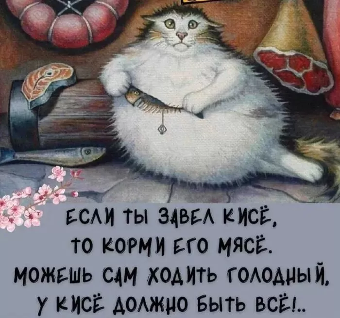 Картинки позитивные для настроения. Позитивные картинки с котами для настроения