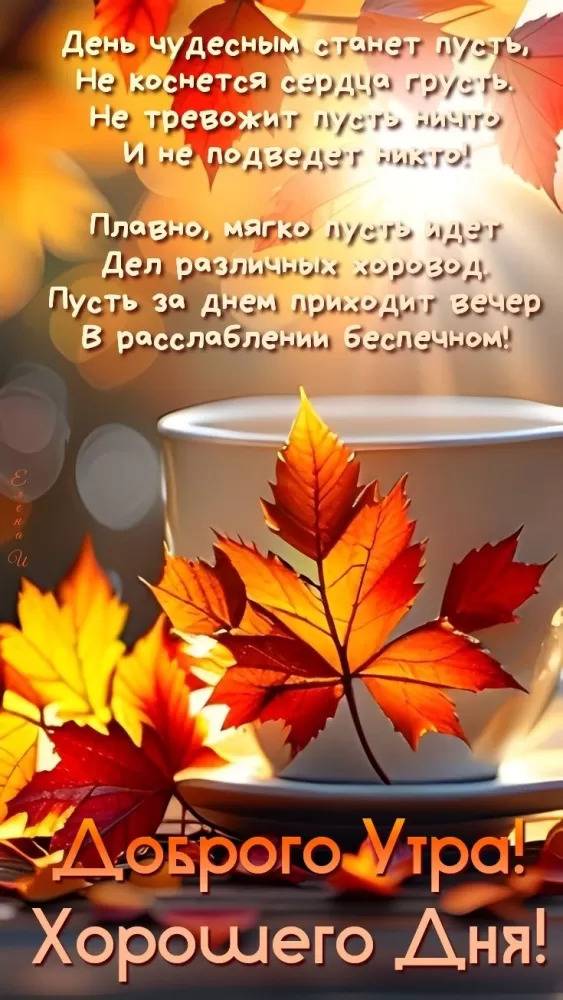 Картинки и открытки Доброе осеннее утро. Красивые картинки Доброе осеннее утро