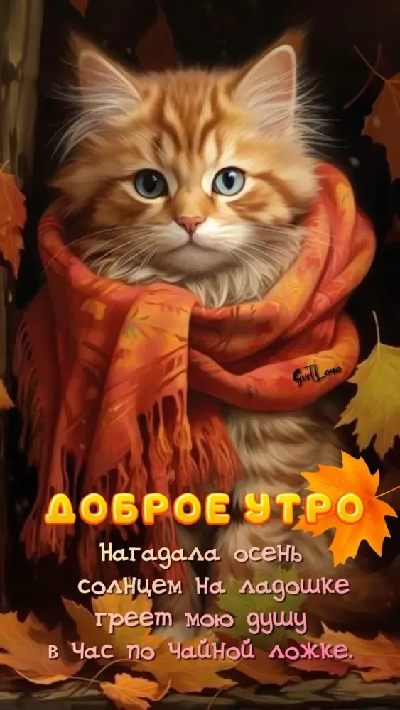 Картинки и открытки Доброе осеннее утро. Позитивные картинки Доброе осеннее утро