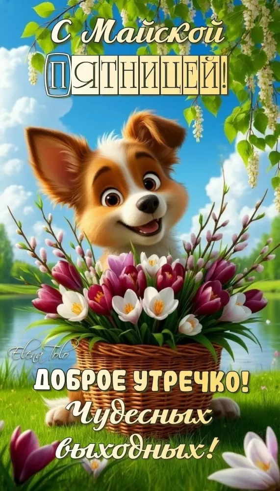 Картинки Доброе утро пятницы. Позитивные картинки Доброе утро пятницы