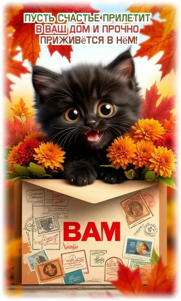 Картинки позитивные для настроения. Позитивные картинки с котами для настроения