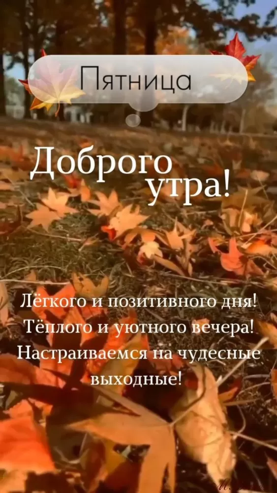 Картинки Доброе утро пятницы. Осенние картинки Доброе утро пятницы
