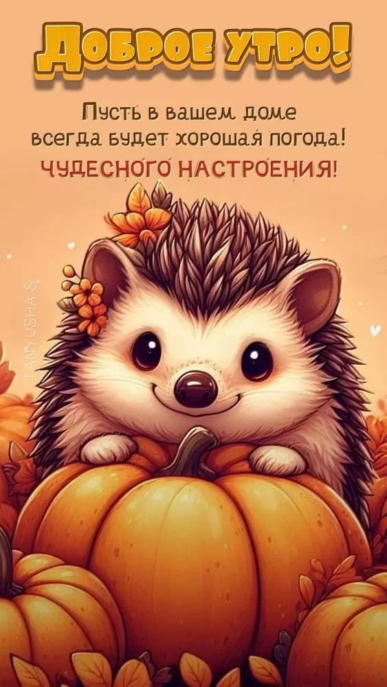 Картинки и открытки Доброе осеннее утро. Красивые картинки Доброе осеннее утро