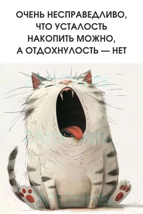 Картинки позитивные для настроения. Позитивные картинки с котами для настроения