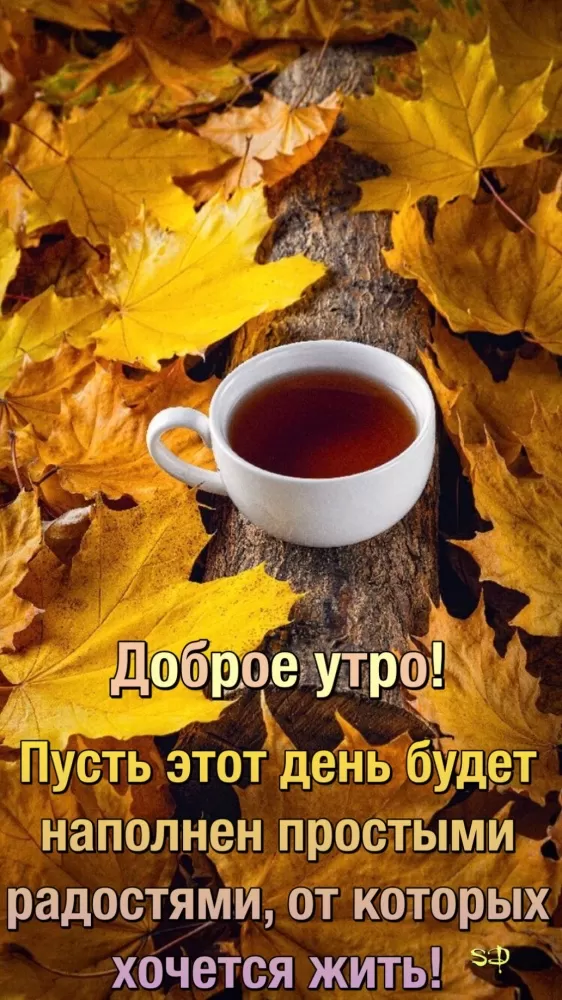 Красивые картинки "Добрый вечер" . Осенние картинки Добрый вечер