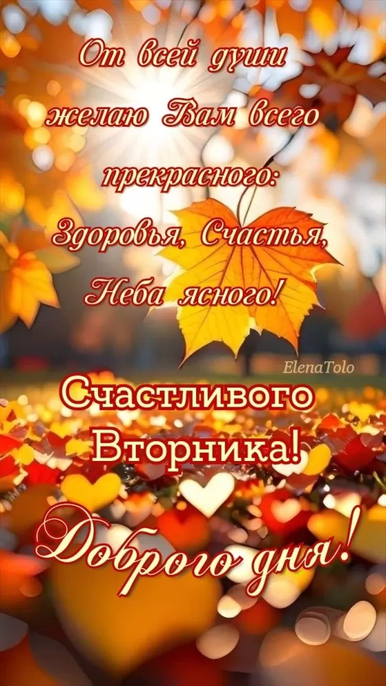 Картинки Доброе утро вторника. Картинки "Доброе утро вторника" осенние