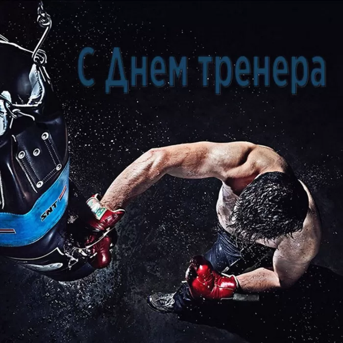 Картинки и открытки с Днем тренера. Открытки с Днем тренера (по видам спорта)