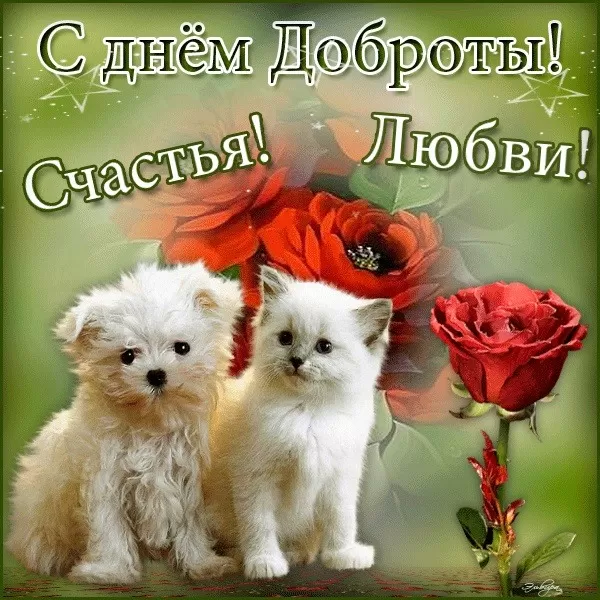Картинки С Всемирным Днем доброты. Всемирный День добра - картинки с пожеланиями