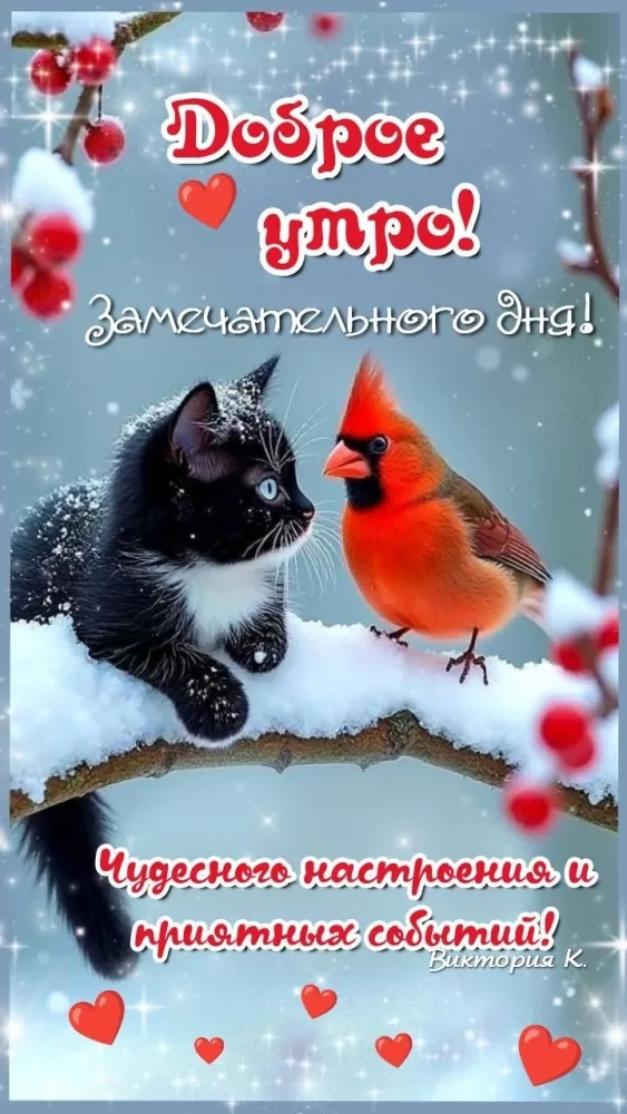 Зимние картинки Доброе утро (50+ штук). Доброе утро - картинки зимние, позитивные