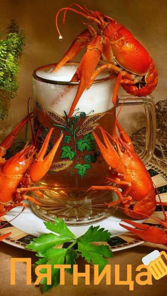 Картинки с Пятницей красивые и прикольные. Прикольные картинки С Пятницей