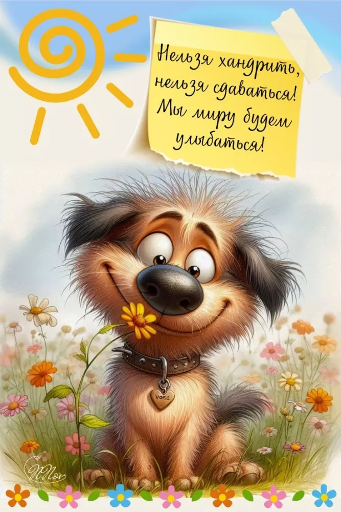 Прикольные картинки для вашего настроения. Картинки для настроения: прикольные и позитивные