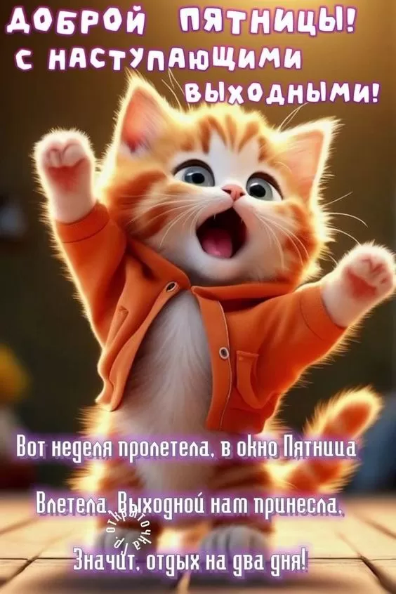 Картинки с Пятницей красивые и прикольные. Прикольные картинки С Пятницей
